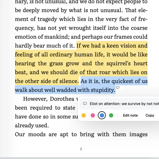 Highlighted text on a page of the reader